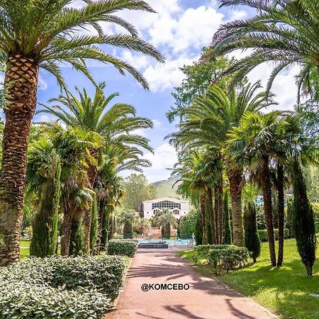 Appartement T1 Bis Avec Jardin Prive Et Piscine, 4 Pers, Cambo-Les-Bains - Fr-1-495-13 외부 사진